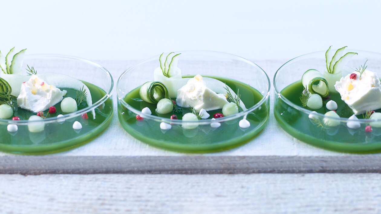 Gurken-Zitrus Suppe –  