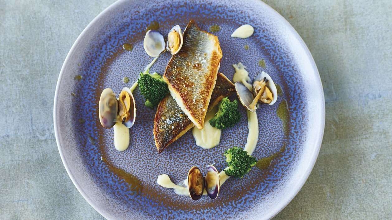 Loup de mer aux moules, brocoli, céleri et huile de persil