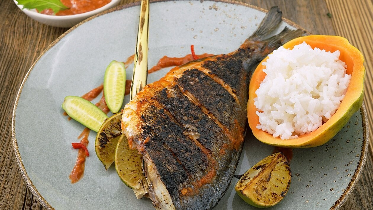 Ikan Rica Rica, grillierte Dorade nach Manedo Art Ikan Rica Rica, grillierte Dorade nach Manedo Art