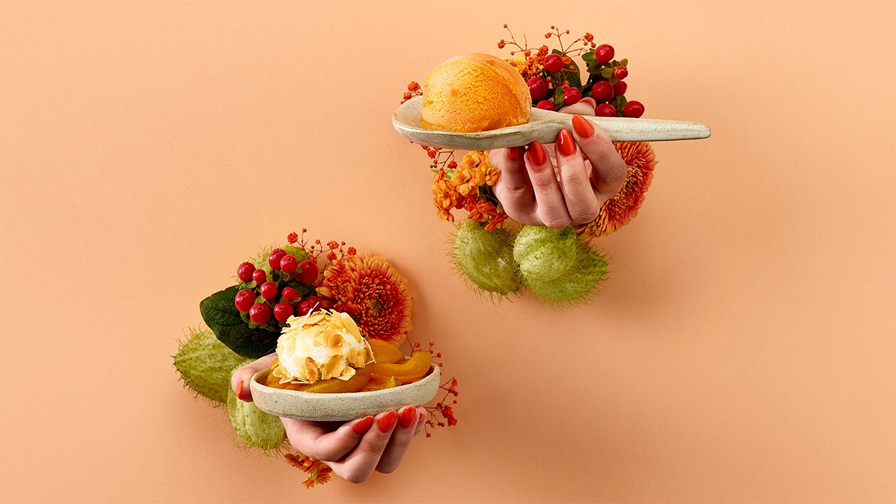 Quenelles au séré fourrées aux abricots sur compote d'abricots et son sorbet –  