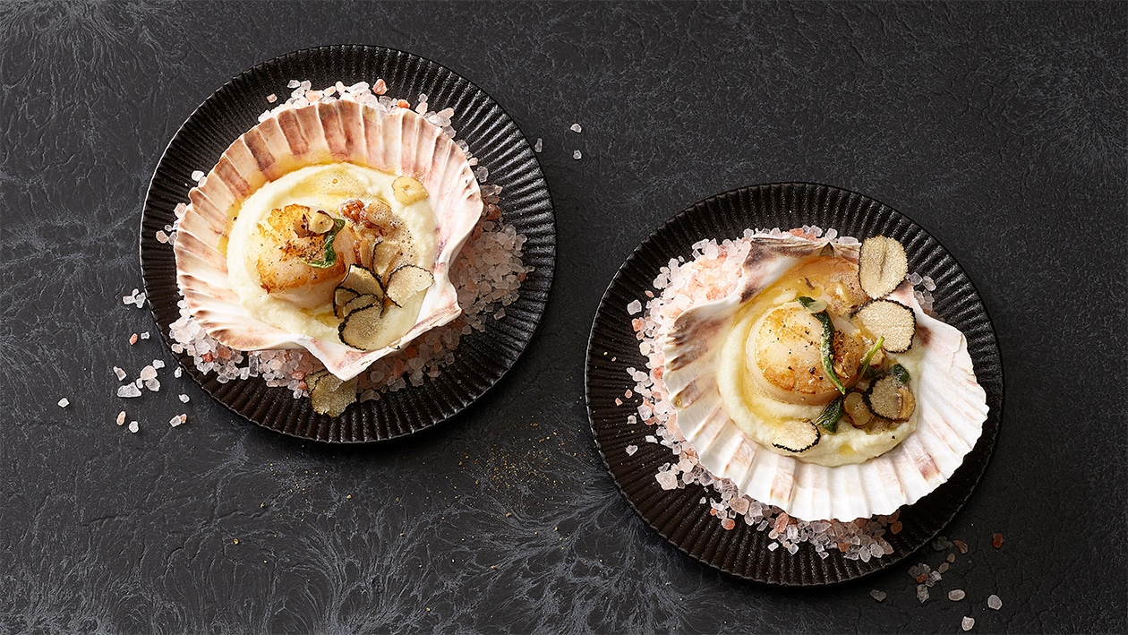 Sautierte Jakobsmuschel auf Kartoffelcréme Sautierte Jakobsmuschel auf Kartoffelcréme