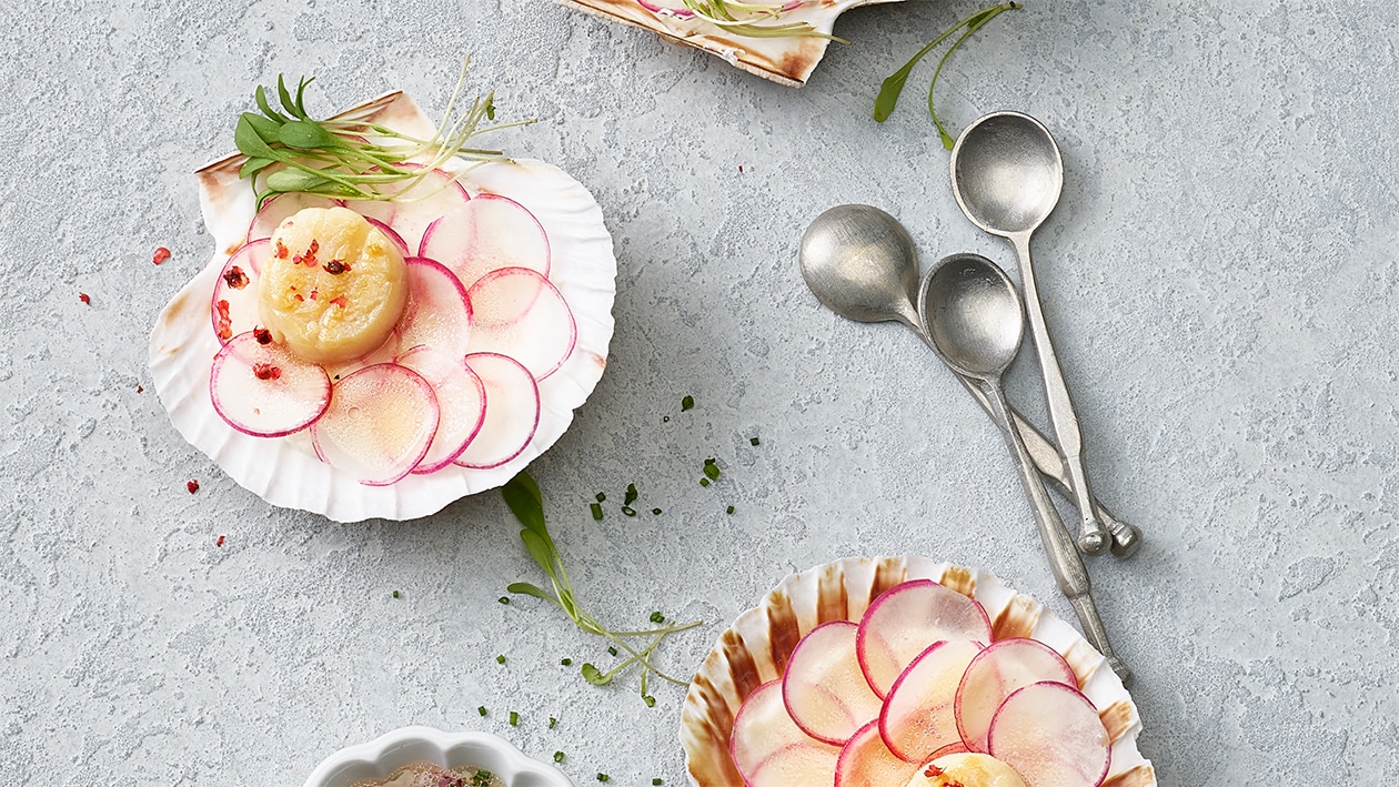 Sautierte Jakobsmuschel auf Radieschen-Crème –  