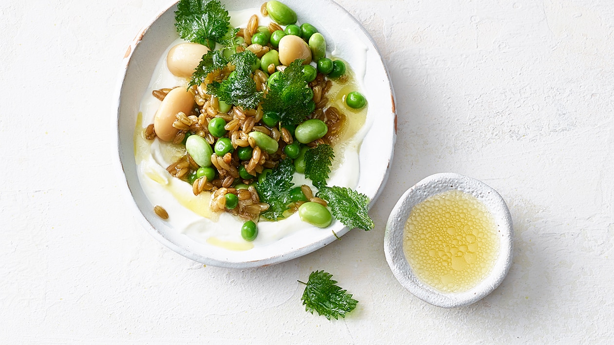 Emmer-Salat mit Bohnen und Erbsen auf Brigelser Geiss-Frischkäse –  