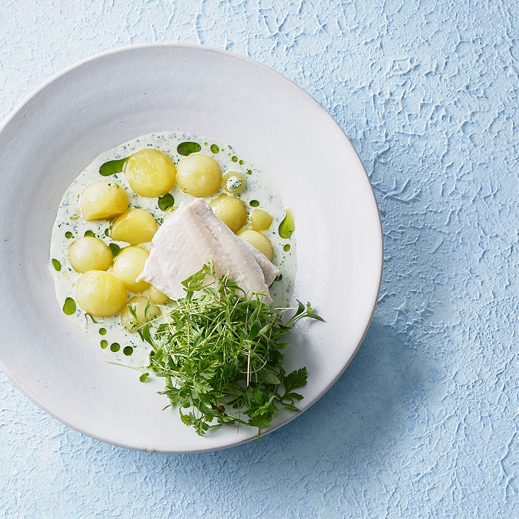 Zug um Zug - ein Felchentraum