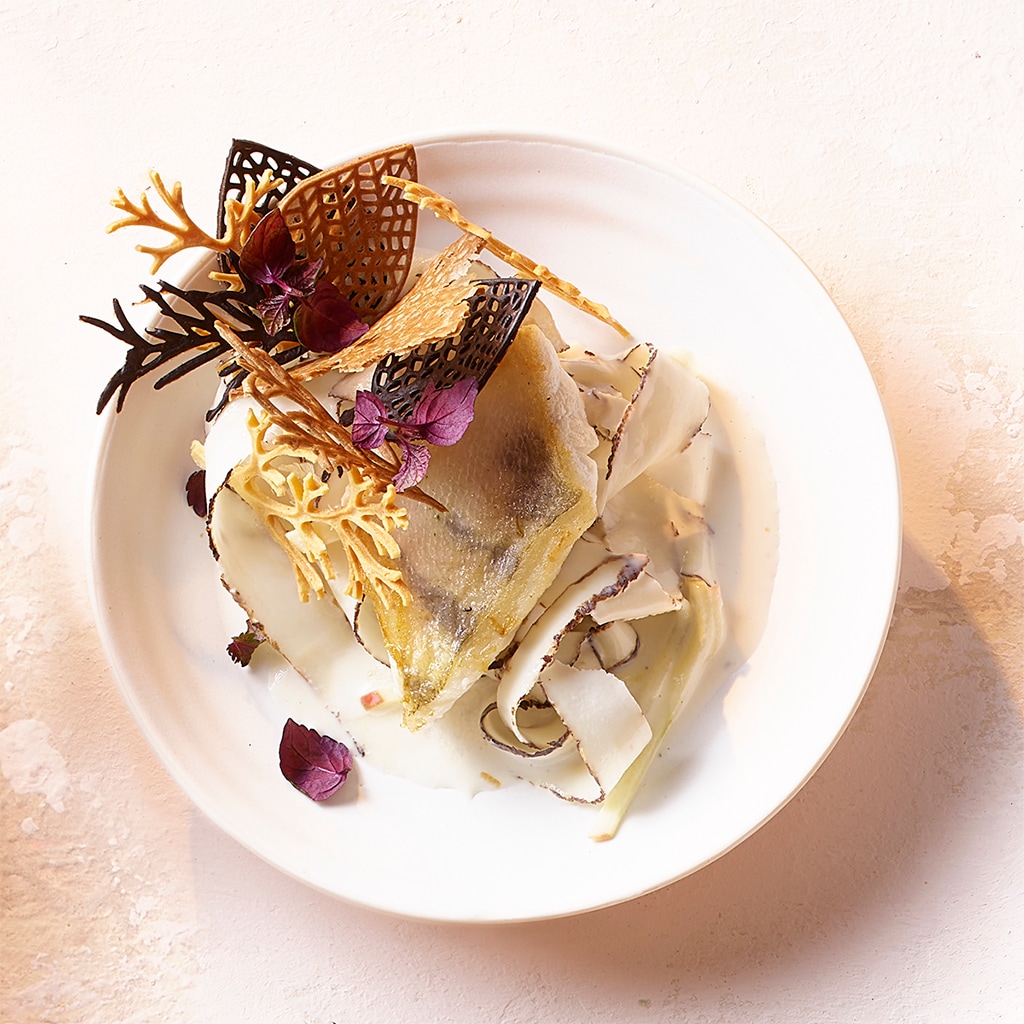 Sandre sauté sur nouilles de salsifis étuvées, sauce au cidre de pommes et huile de noisettes