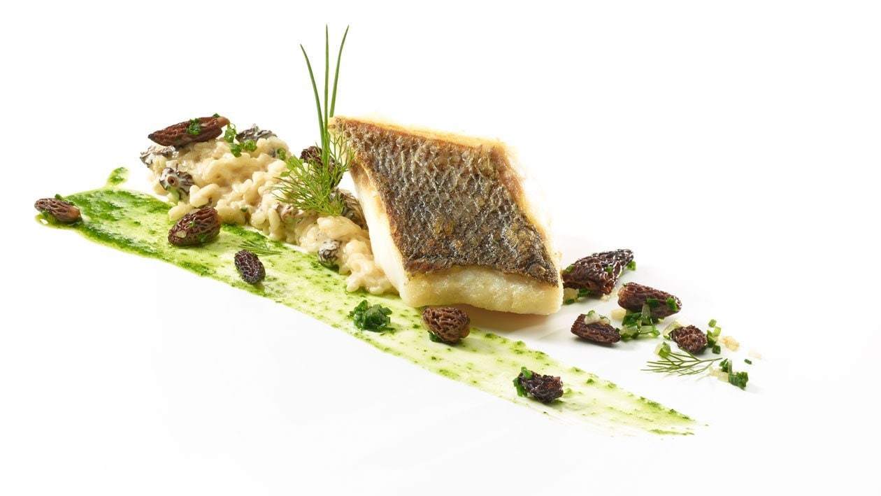 Sautiertes Zandermedaillon mit Morchel-Risotto und Schnittlauchöl Sautiertes Zandermedaillon mit Morchel-Risotto und Schnittlauchöl