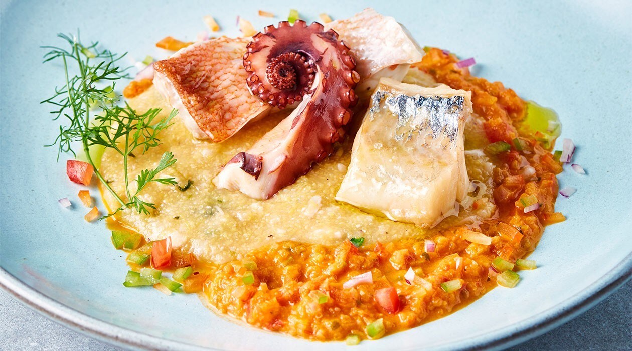 Future Menu Rezept: Tintenfisch, Kabeljau und Zackenbarsch mit Tomaten- und Paprikasauce Future Menu Rezept: Tintenfisch, Kabeljau und Zackenbarsch mit Tomaten- und Paprikasauce