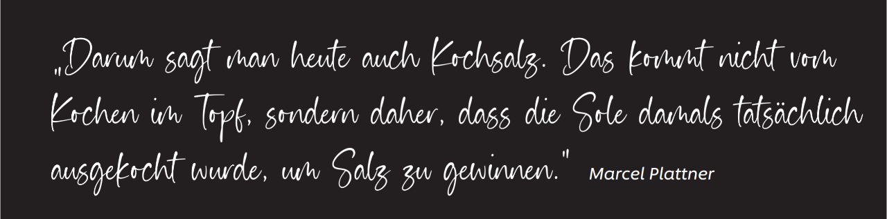 Zitat von Marcel Plattner