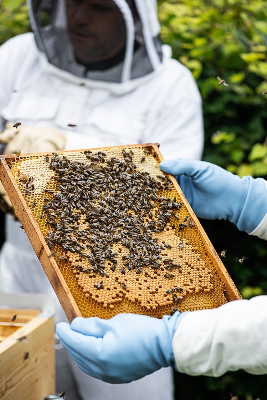 Imker mit Bienen Imker mit Bienen
