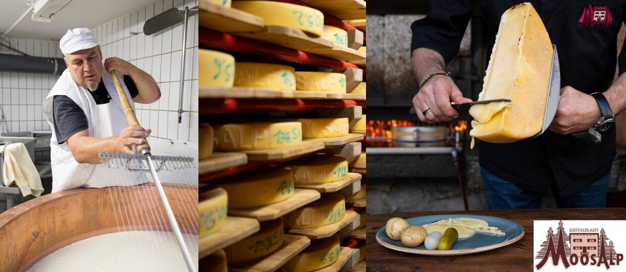 Die Herstellung von Käse Die Herstellung von Käse
