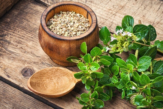 Mediterran und würzig mit Oregano und Thymian Mediterran und würzig mit Oregano und Thymian