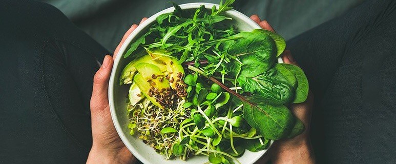 Plantmade - Richtig präsentieren