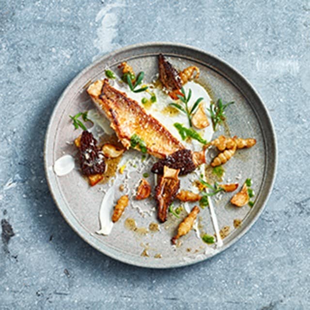 8 Ideen und Stile für das moderne Anrichten von Speisen