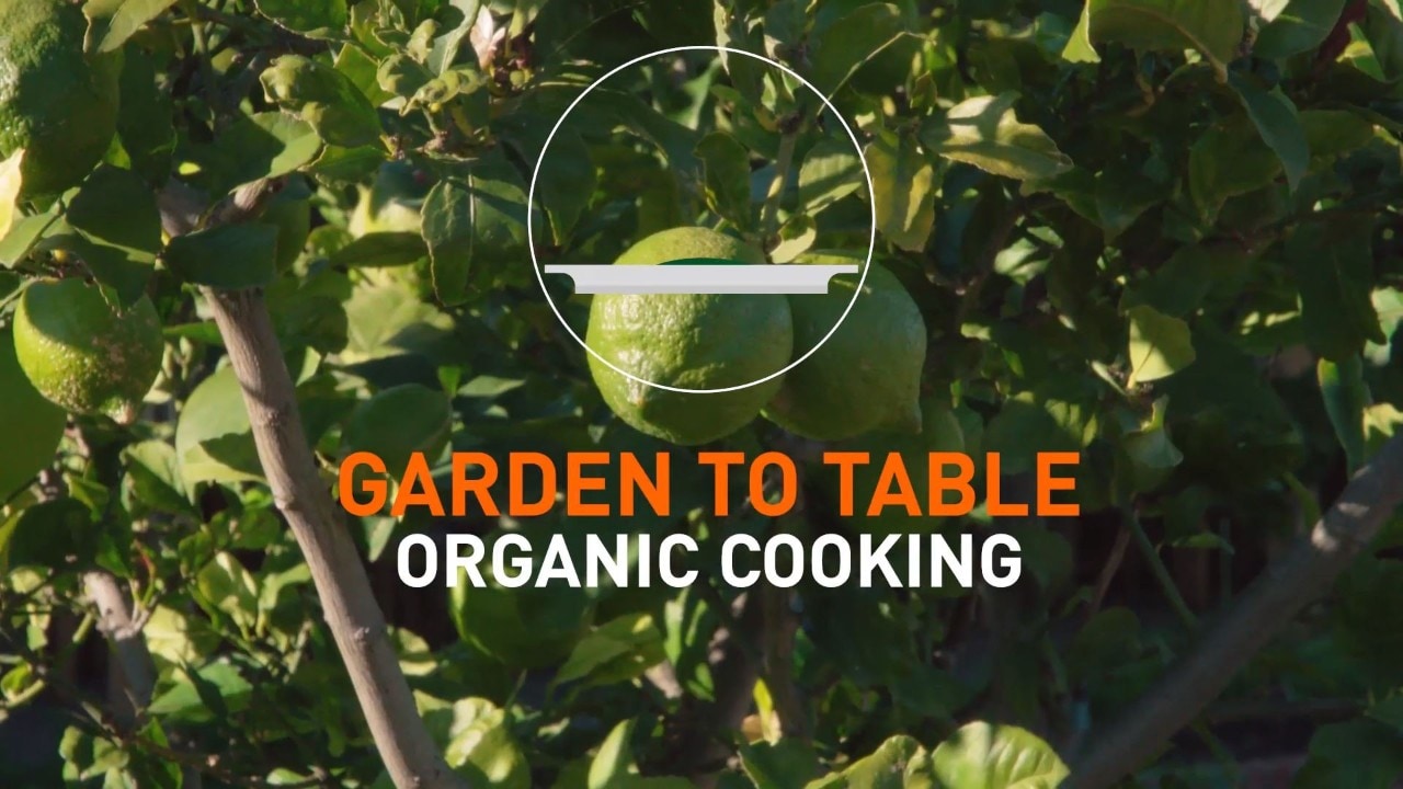 Vom Garten direkt auf den Tisch: Inspirierende Rezeptideen mit selbstangebauten Zutaten.