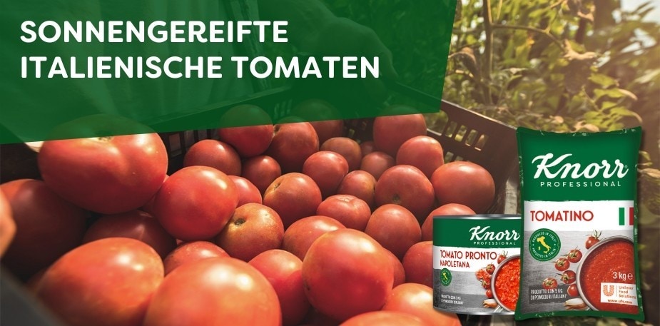Kachel sonnengereifts italienische Tomaten