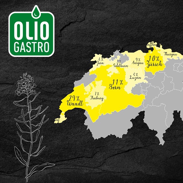 Rapsöl aus der Schweiz