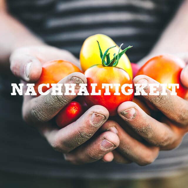 Nachhaltigkeit rund um die Tomate