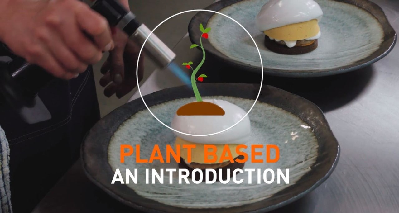 UFS Academy - Vegane Kochkunst: Entdecken Sie die Vielfalt der pflanzlichen Küche.
