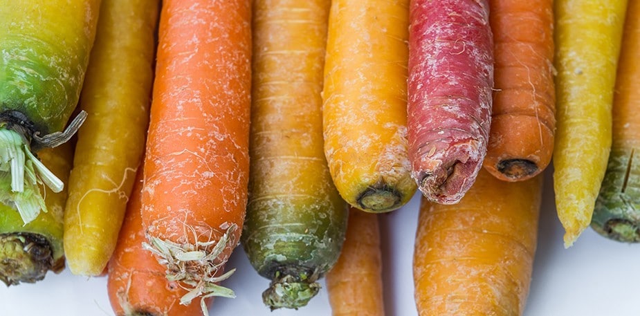 Du Jardin À La Table 