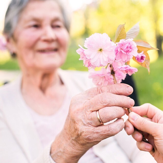 La restauration des seniors - Printemps