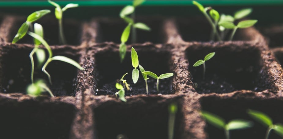 La stratégie de durabilité d’Unilever