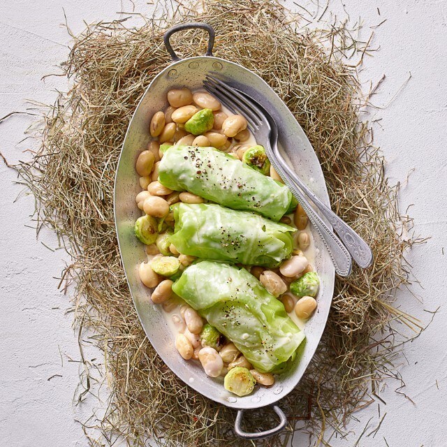 Chou pointu cuit sur haricots de Soissons