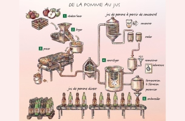 Étapes : de la pomme au jus