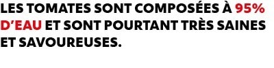 LES TOMATES SONT COMPOSÉES À 95% D’EAU ET SONT POURTANT TRÈS SAINES ET SAVOUREUSES LES TOMATES SONT COMPOSÉES À 95% D’EAU ET SONT POURTANT TRÈS SAINES ET SAVOUREUSES