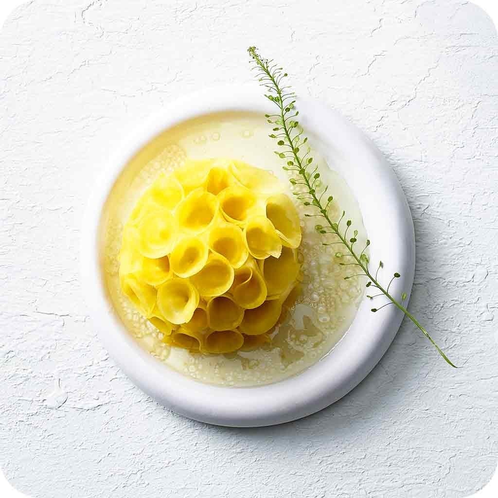 Mousse de truite et betteraves jaunes marinées