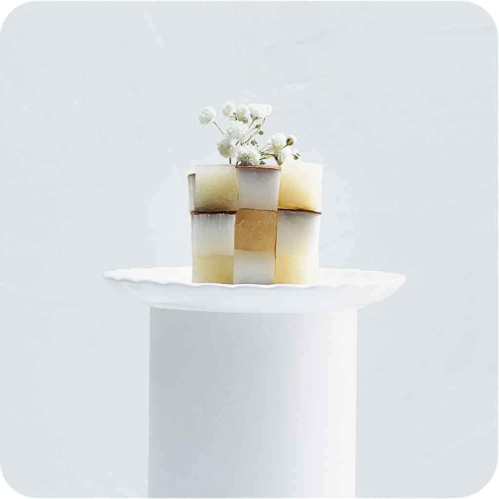 Mosaïque de noix de coco et de nashi