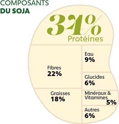 composants du soja composants du soja